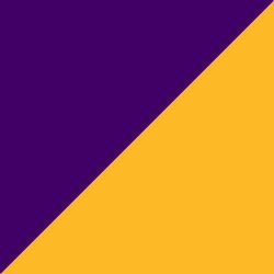 Purple & Gold